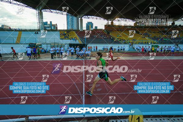 Foto 8247520