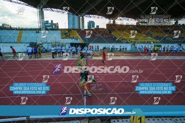Foto 8247524