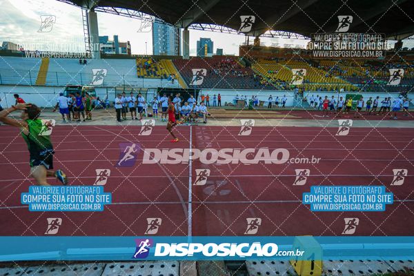 Foto 8247525
