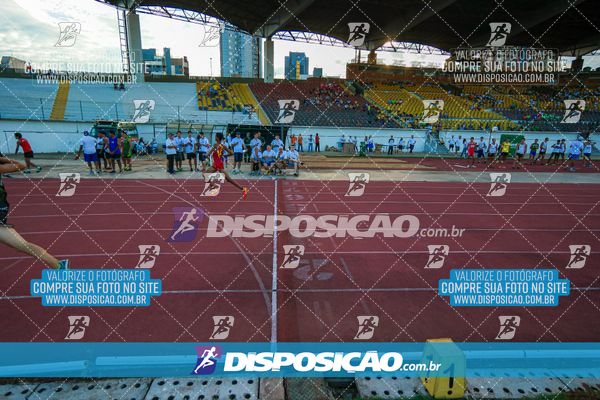 Foto 8247526