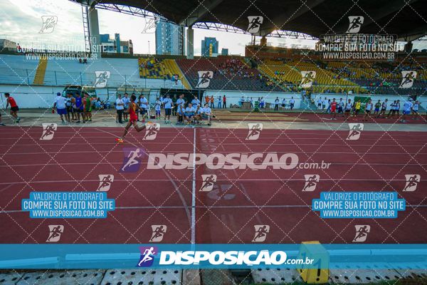 Foto 8247530