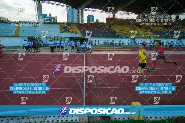 Foto 8247535