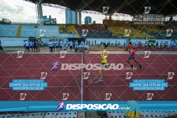 Foto 8247532