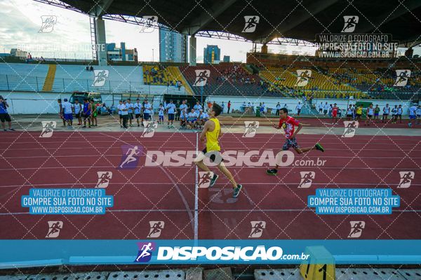 Foto 8247531