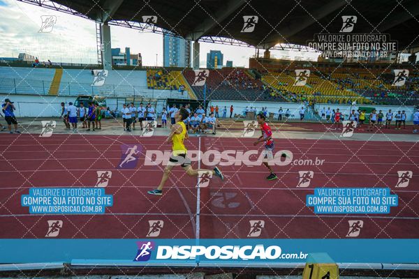 Foto 8247528