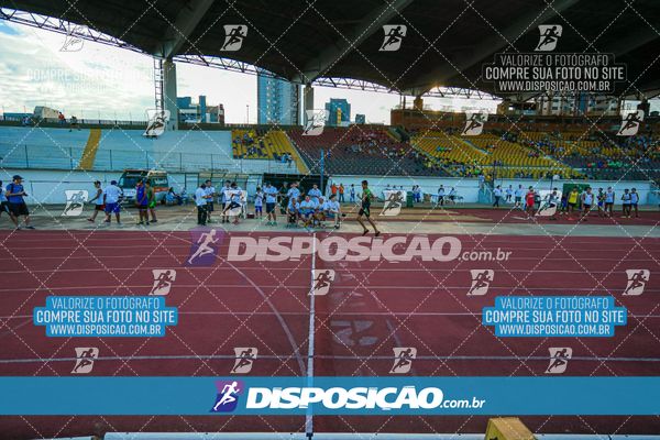 Foto 8247548