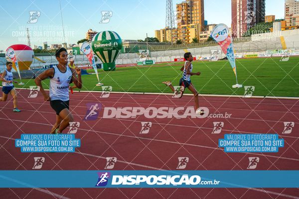 Foto 8247573
