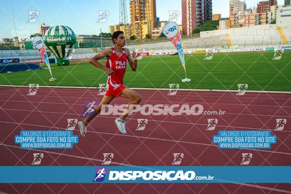 Foto 8247589