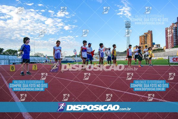 Foto 8247647