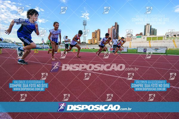 Foto 8247658