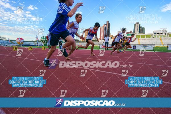 Foto 8247667