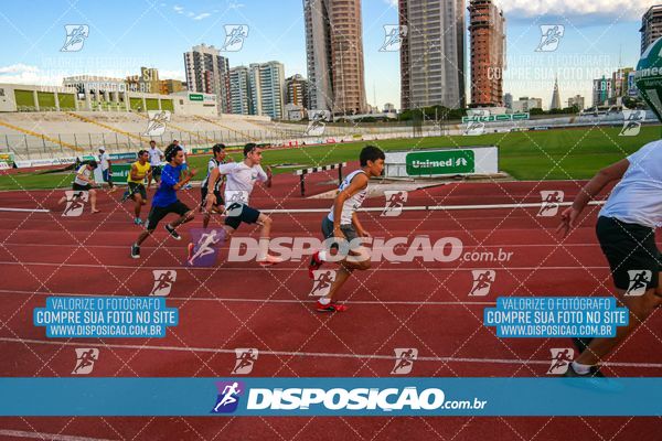 Foto 8246643