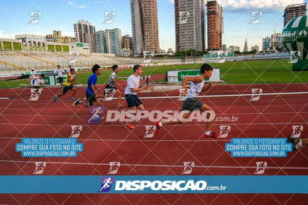 Foto 8246664