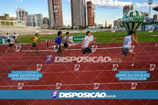 Foto 8246674