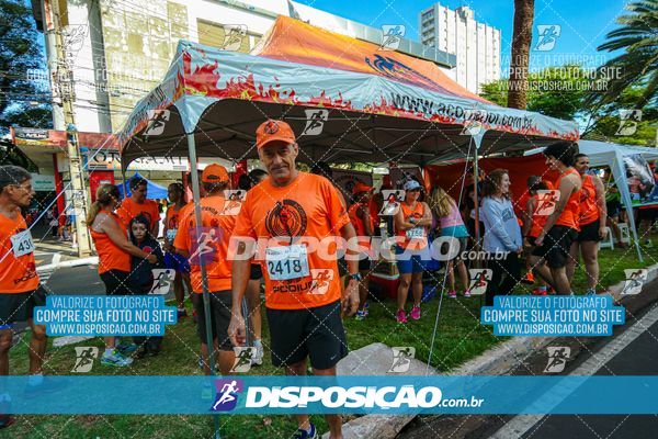 Foto 8247728