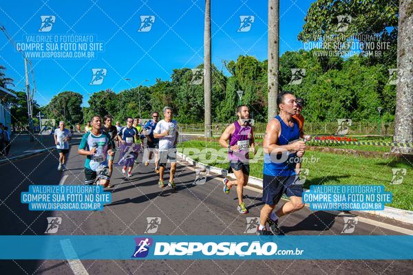 Foto 8247778