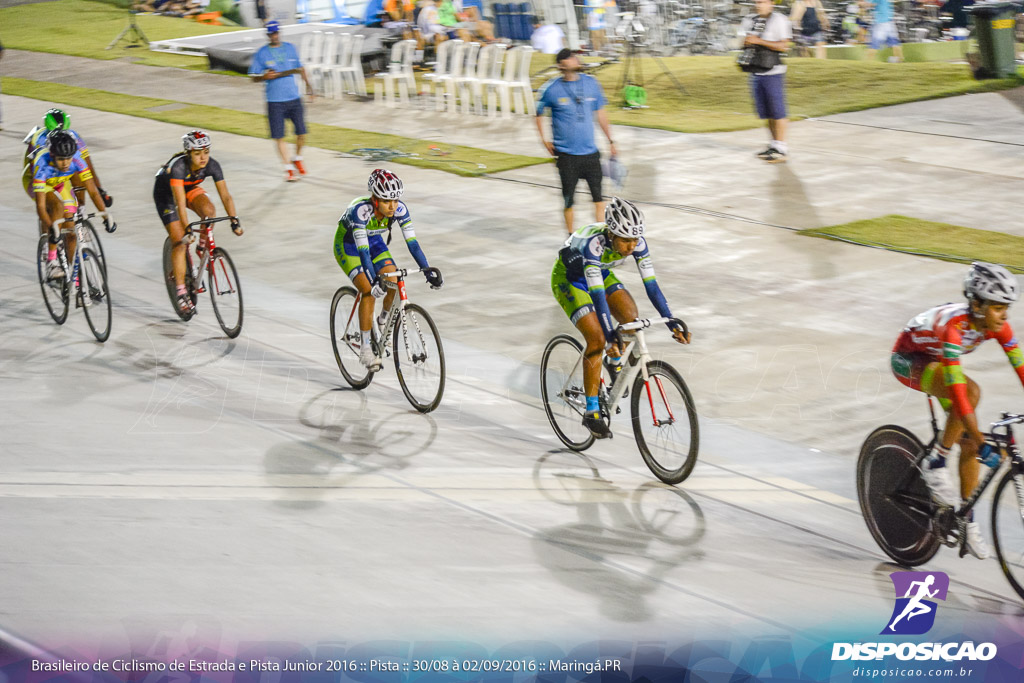 Pista :: Brasileiro de Ciclismo de Estrada e Pista 2016