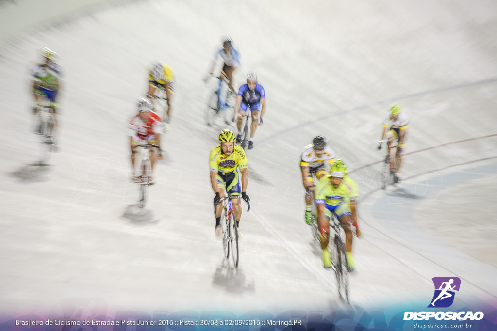 Pista :: Brasileiro de Ciclismo de Estrada e Pista 2016