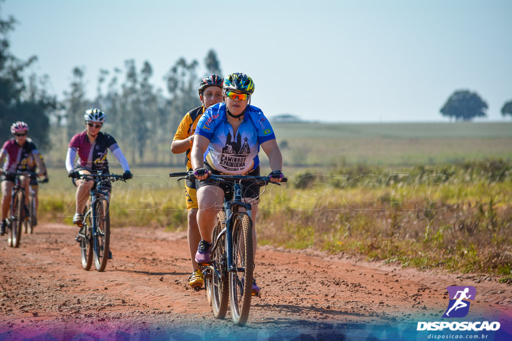 Caminhos da Padroeira 2016