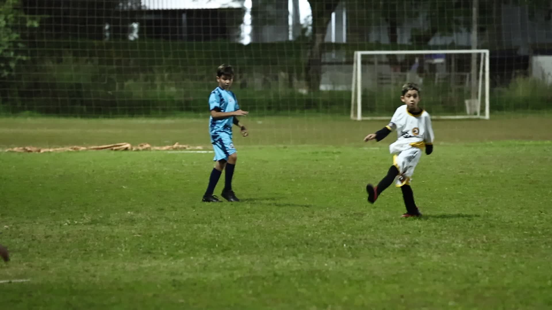 Vídeo #1516
