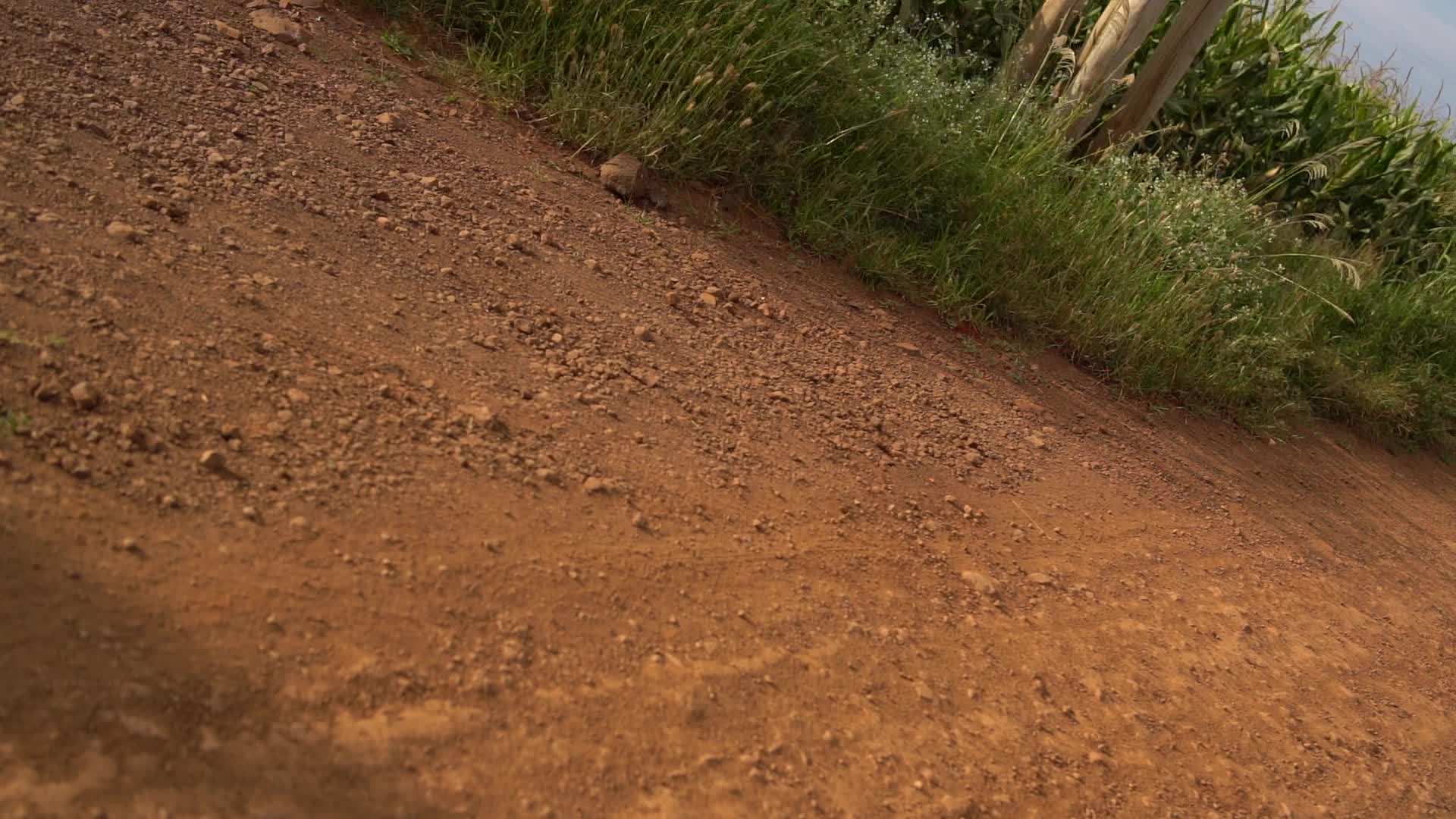 Vídeo #8540