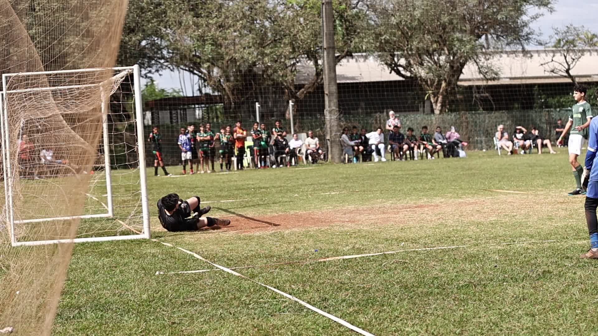Vídeo #9106