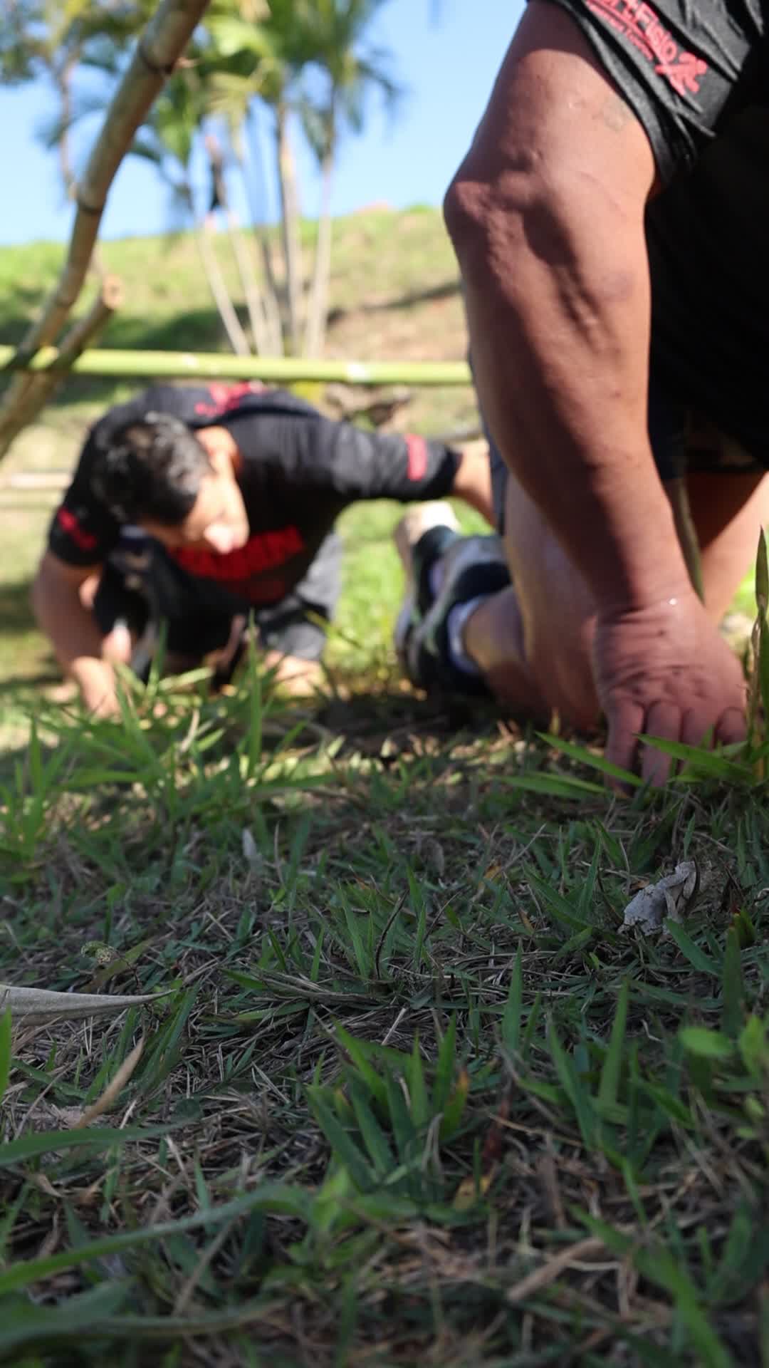 Vídeo #9896