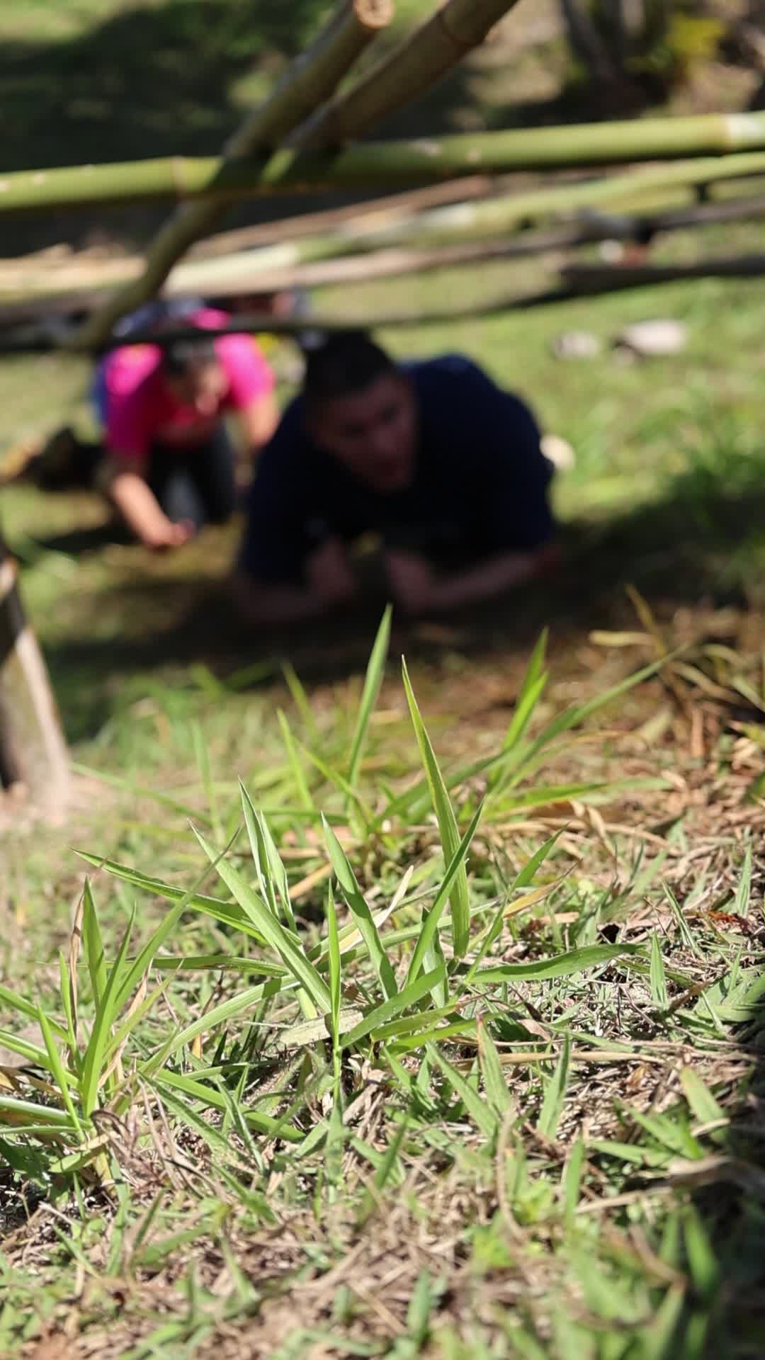Vídeo #10051