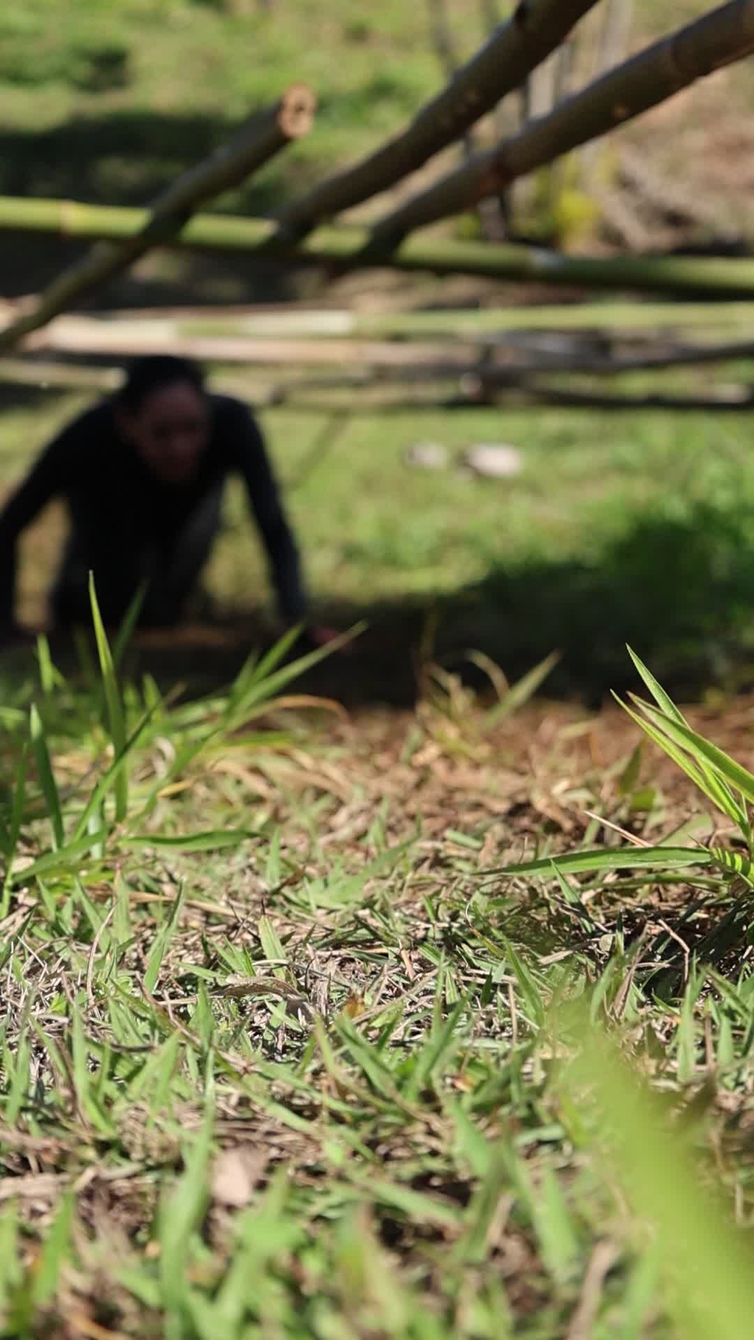 Vídeo #10079