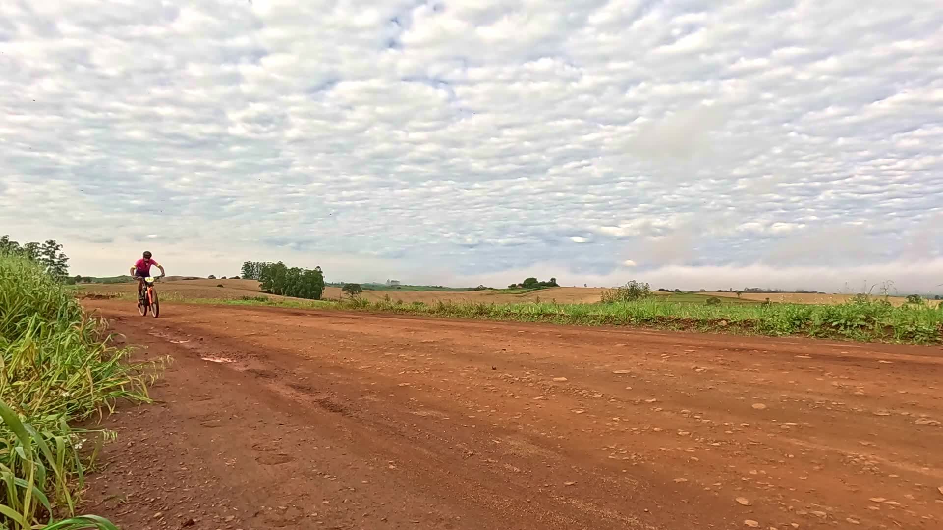 Vídeo #10462