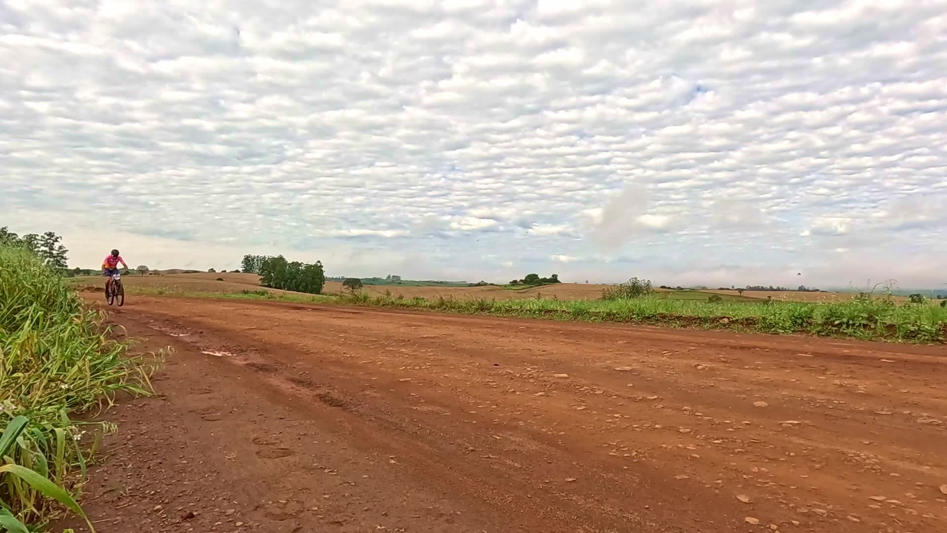 Vídeo #10451