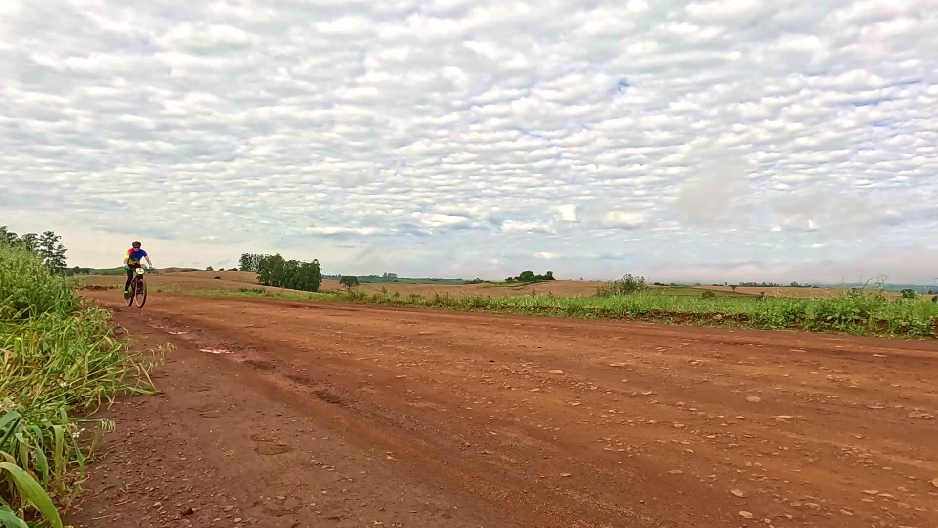 Vídeo #10452