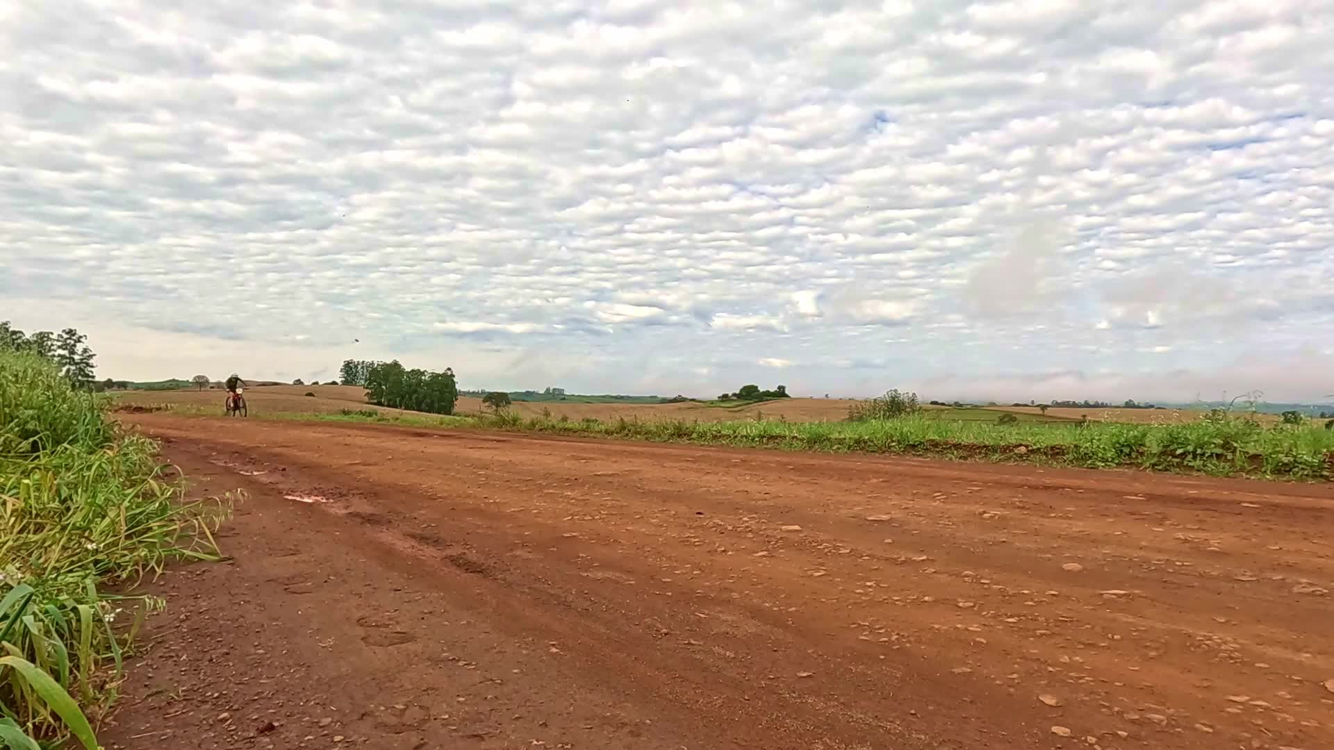Vídeo #10454