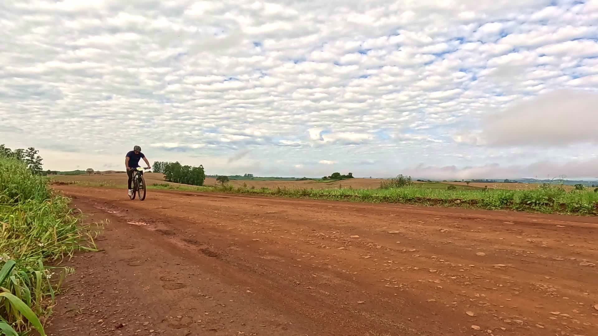 Vídeo #10450