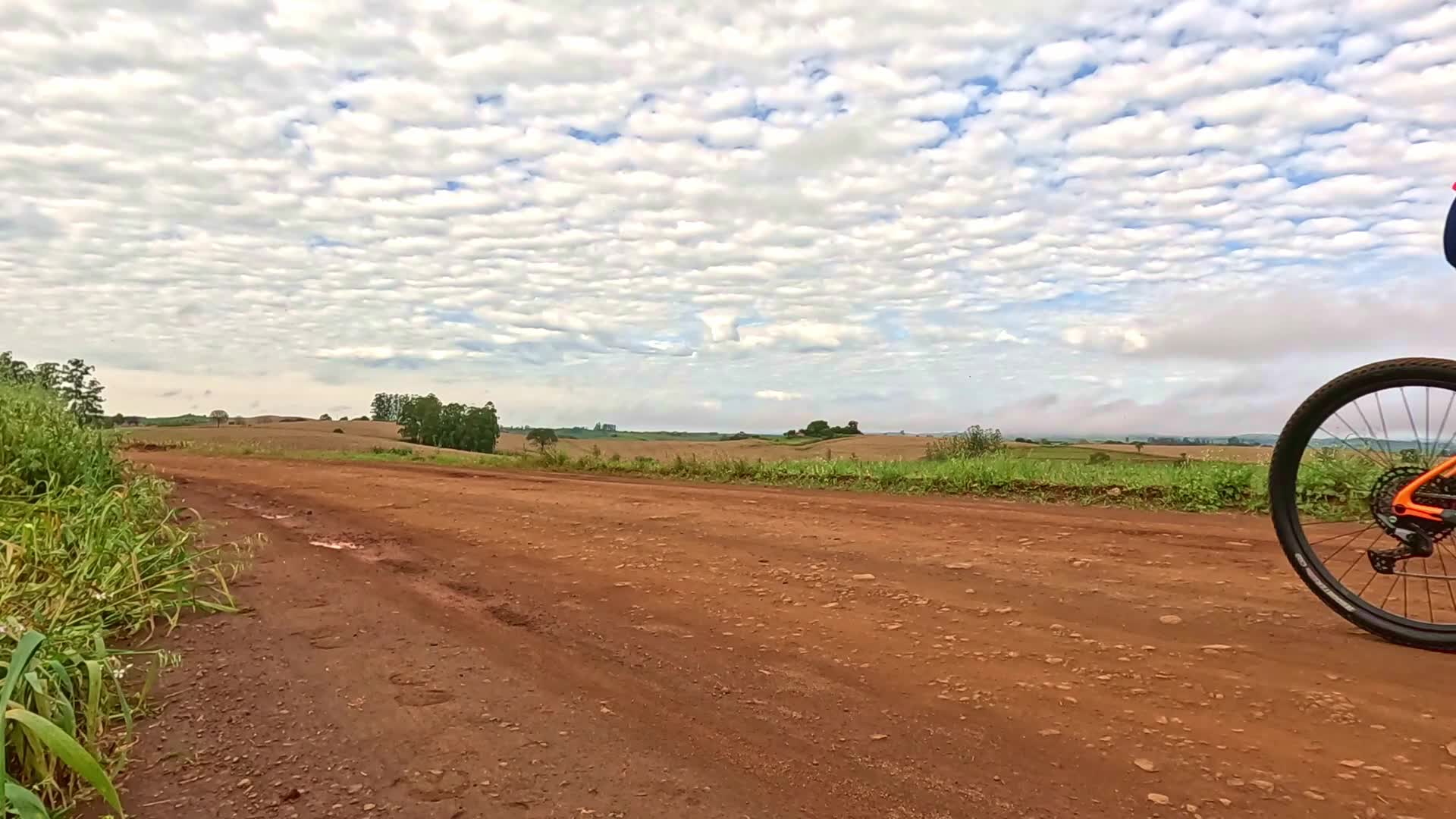 Vídeo #10484