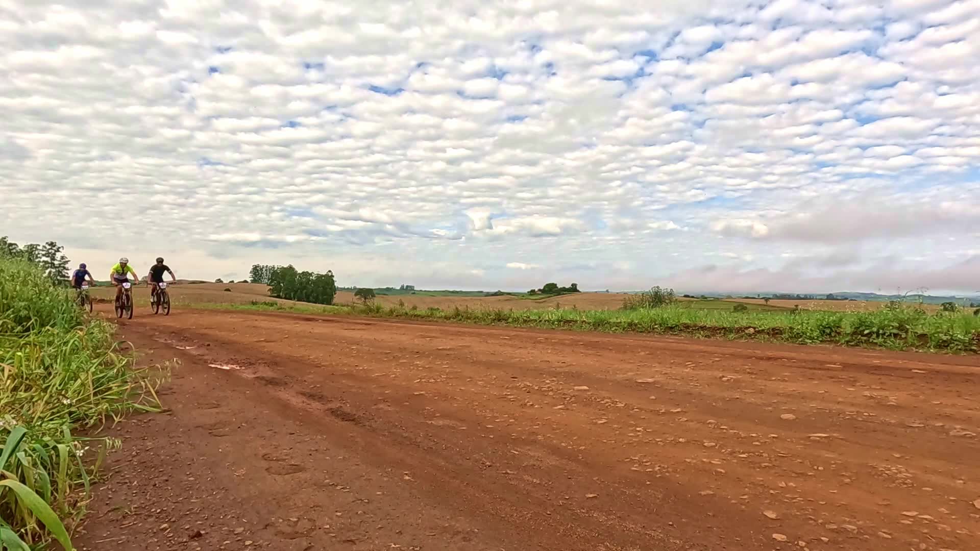 Vídeo #10486