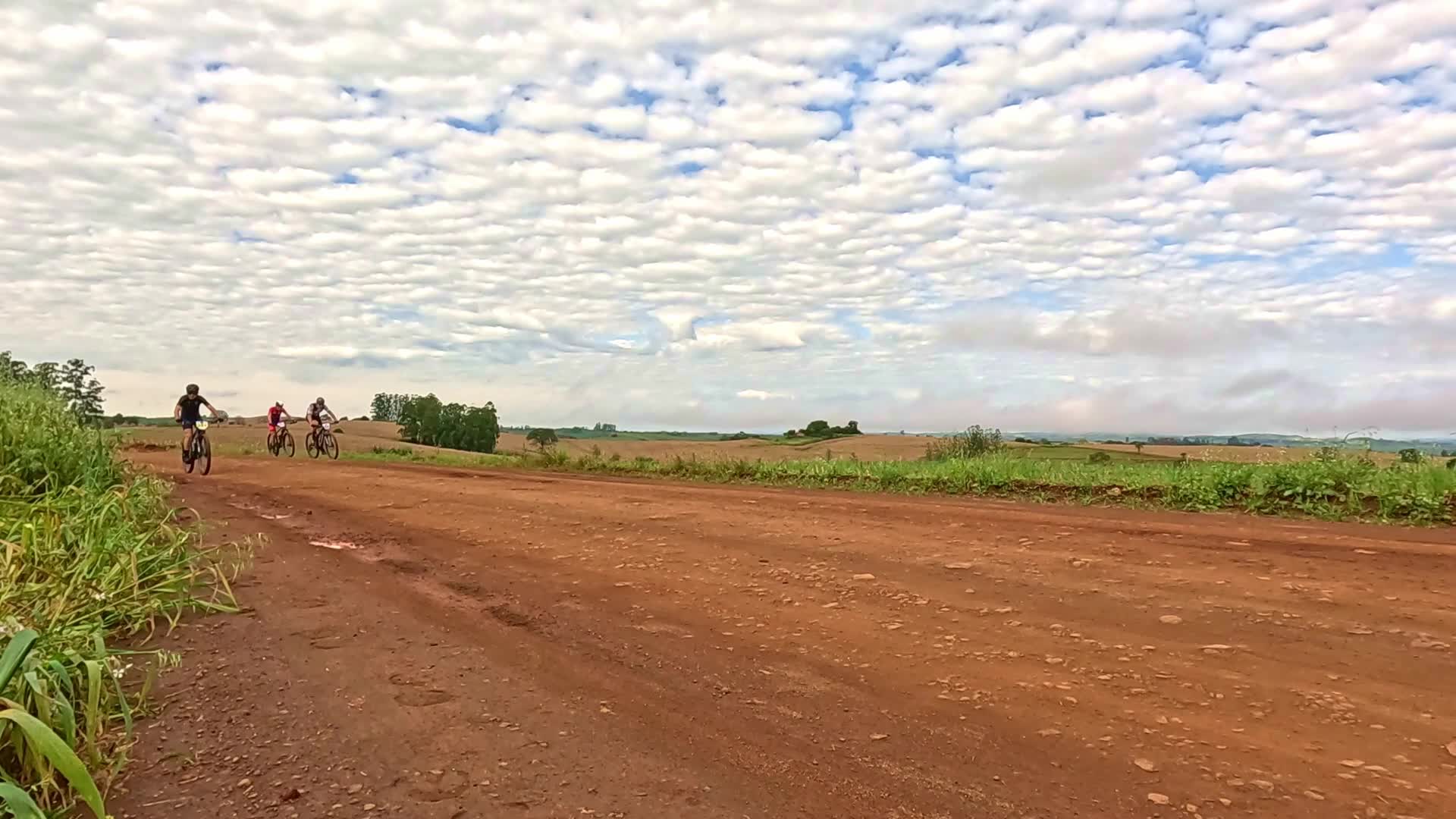 Vídeo #10489