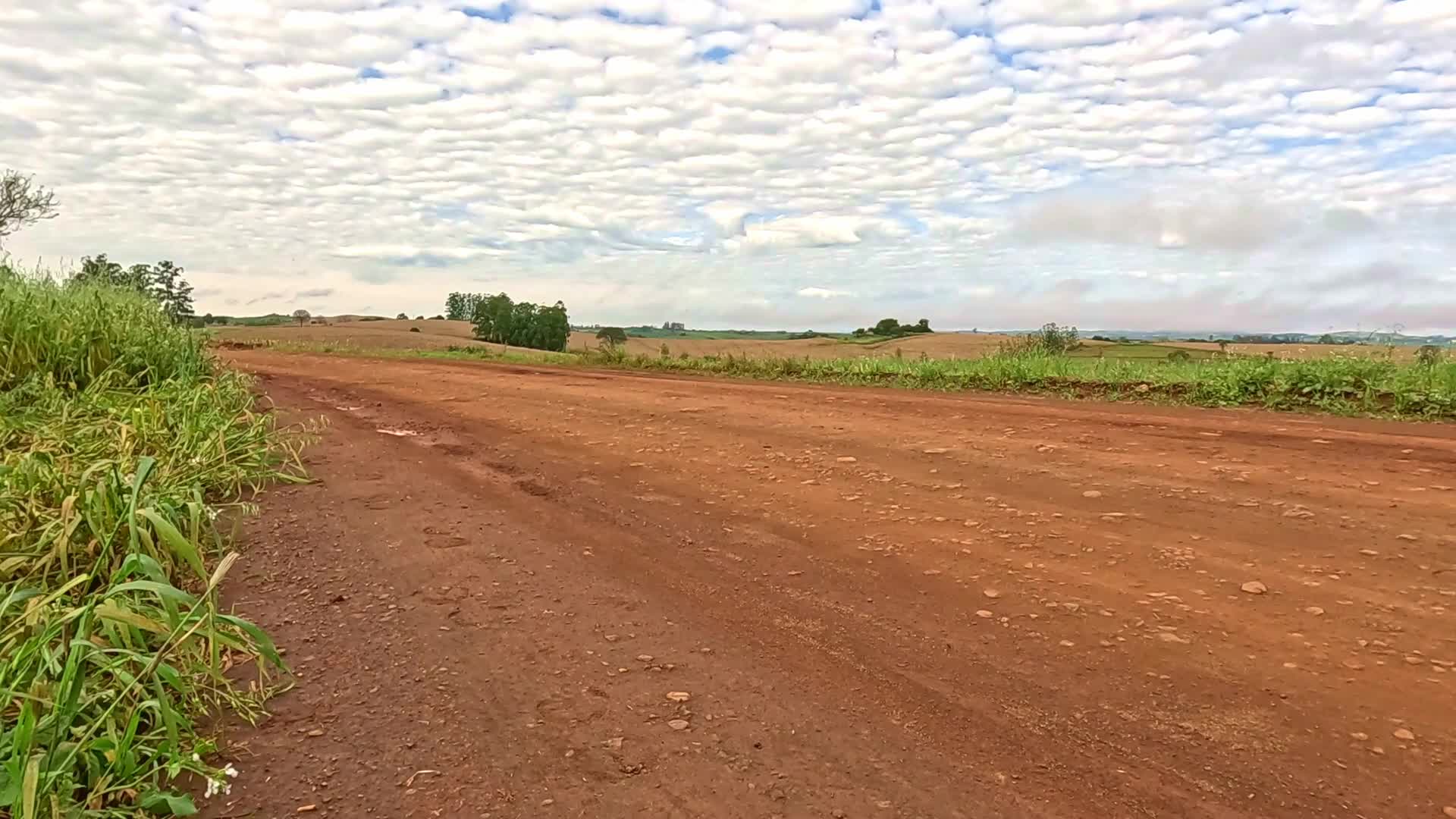 Vídeo #10480