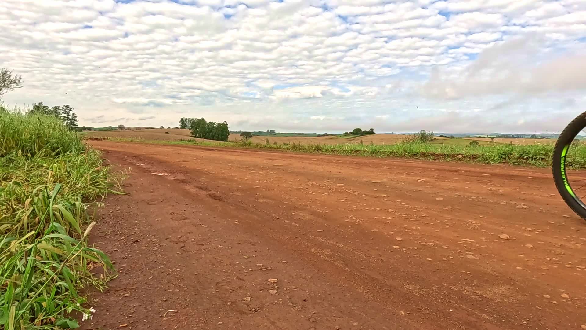 Vídeo #10456