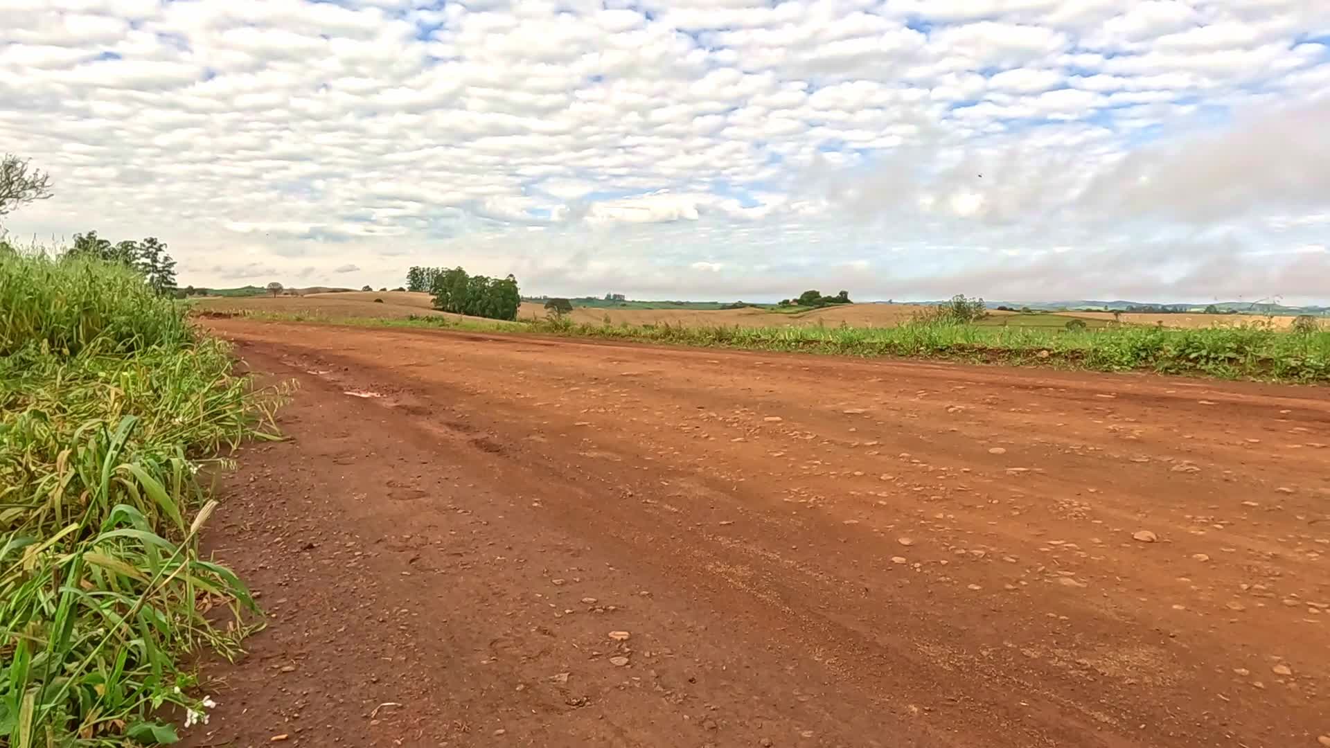 Vídeo #10490