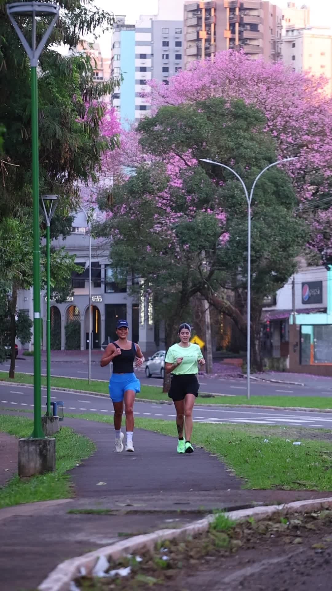 Vídeo #10682