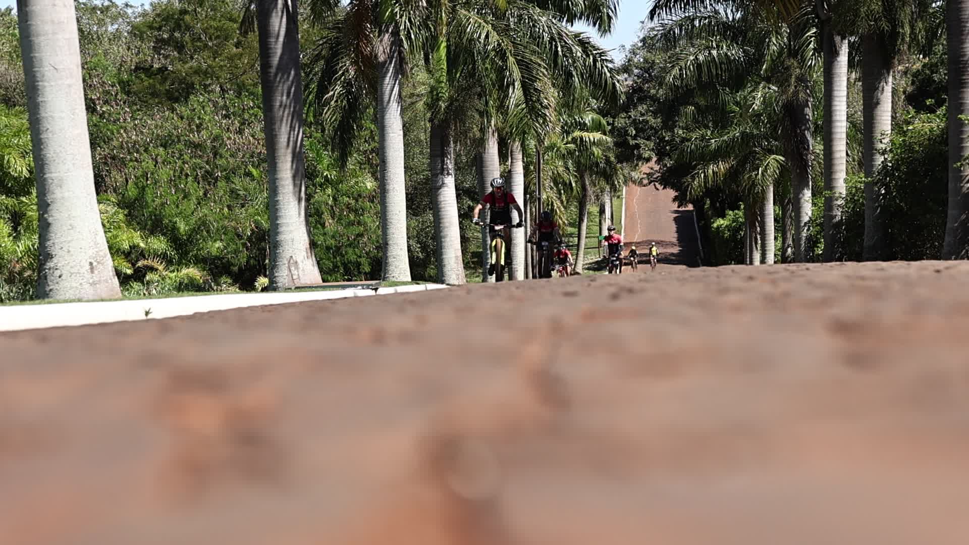 Vídeo #13306