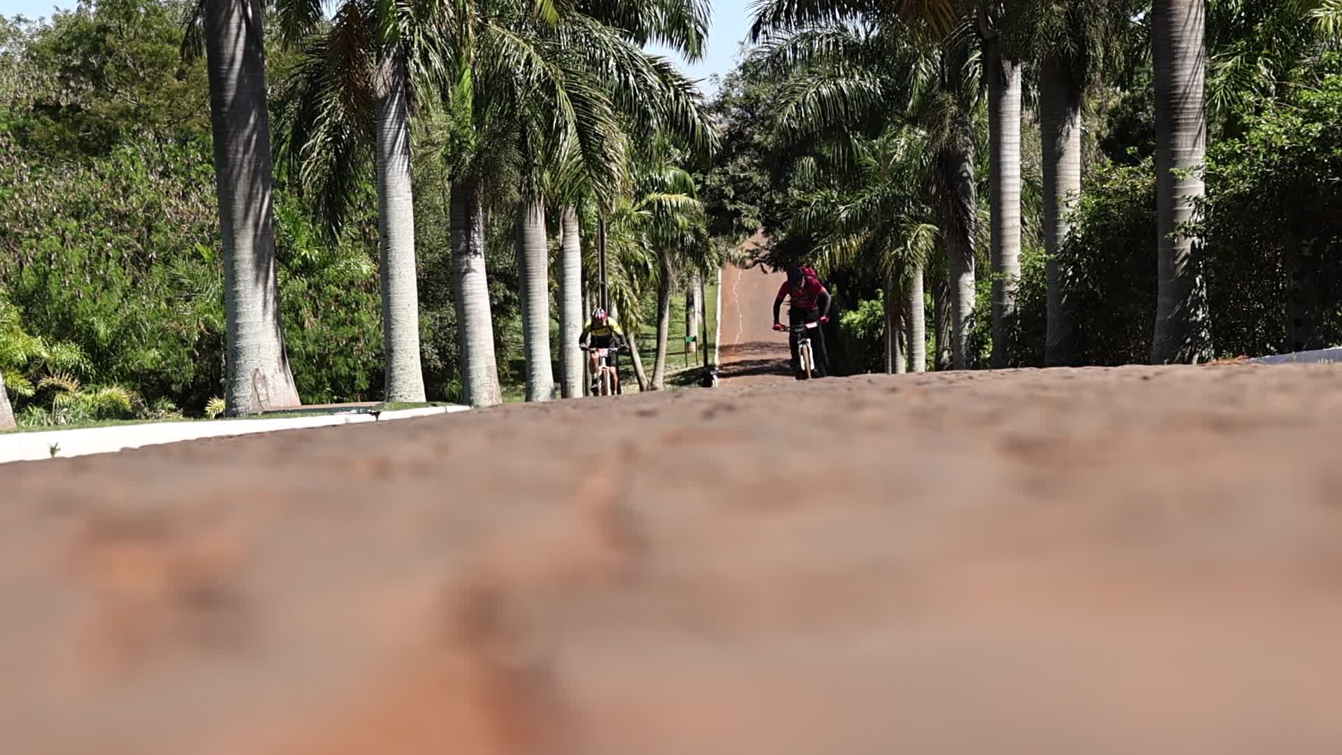 Vídeo #13310
