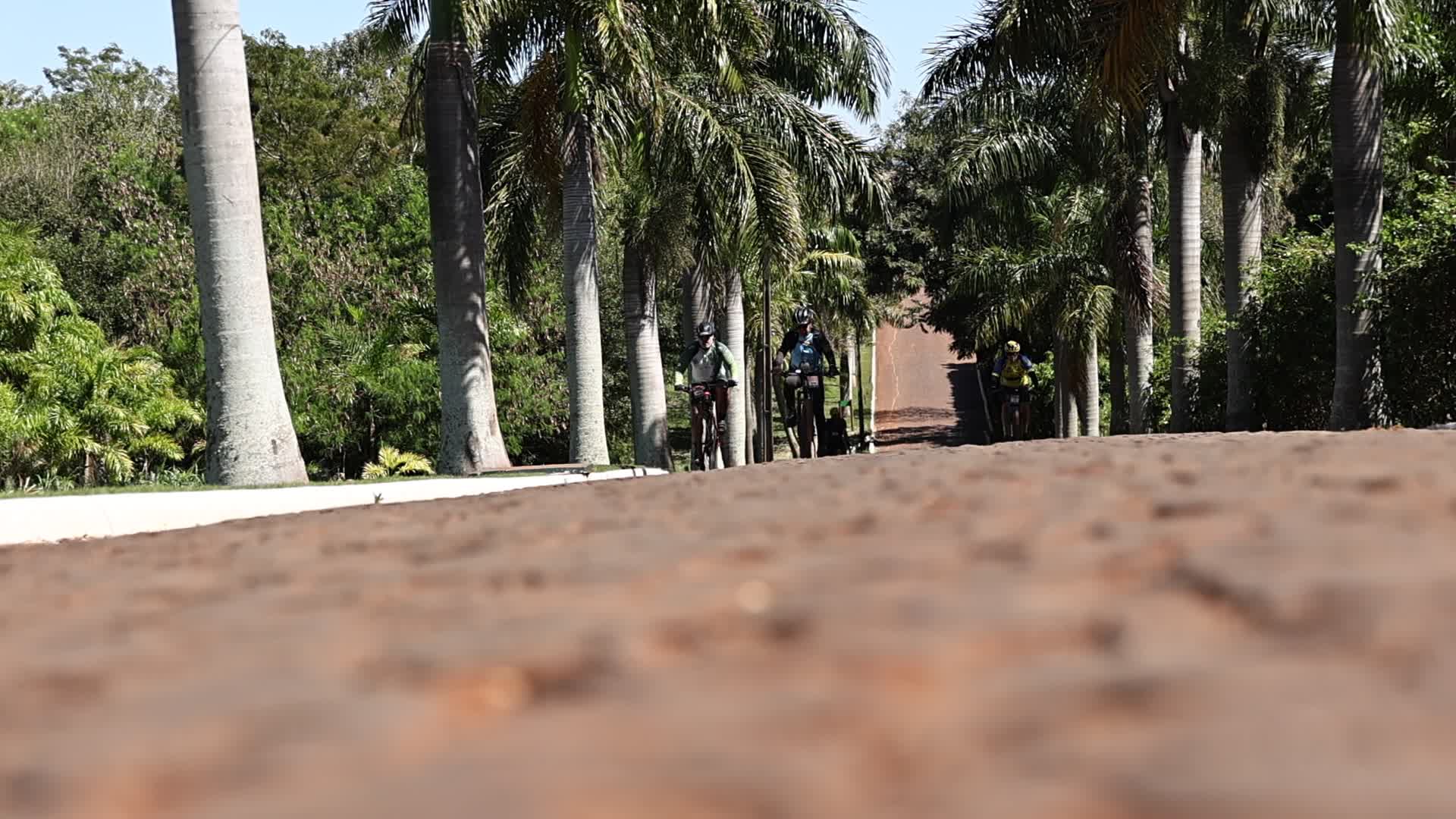 Vídeo #13330