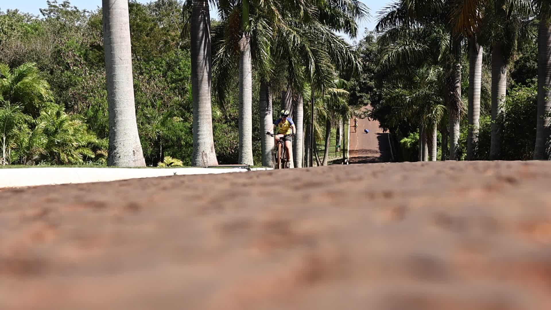 Vídeo #13331