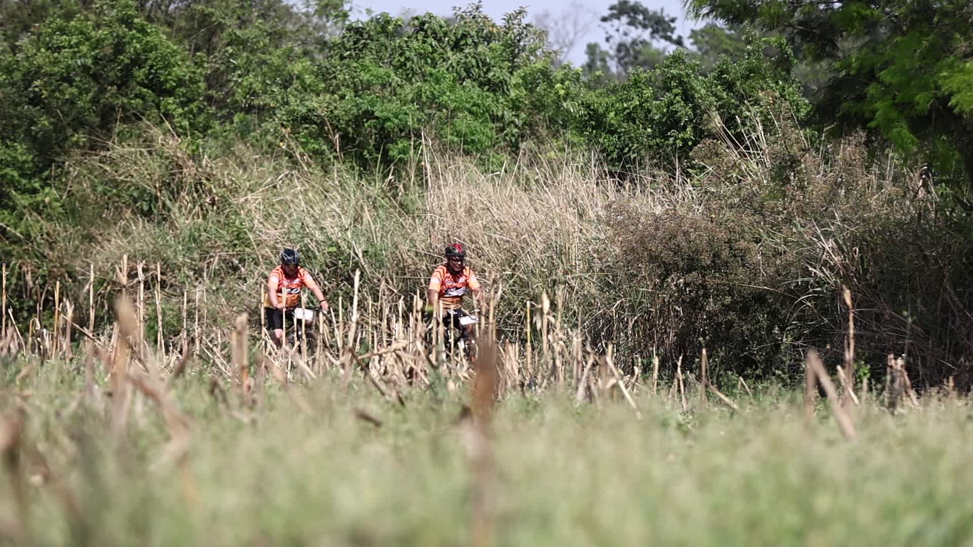 Vídeo #14630