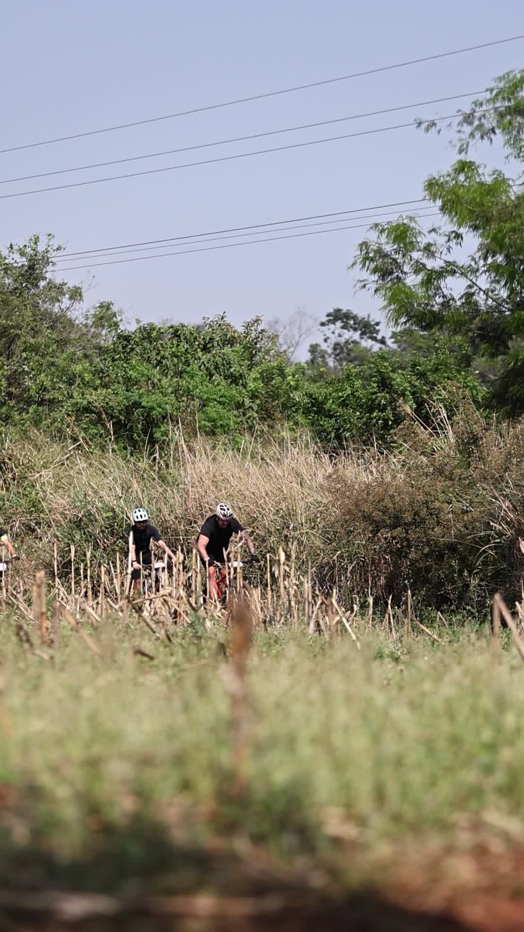 Vídeo #14614