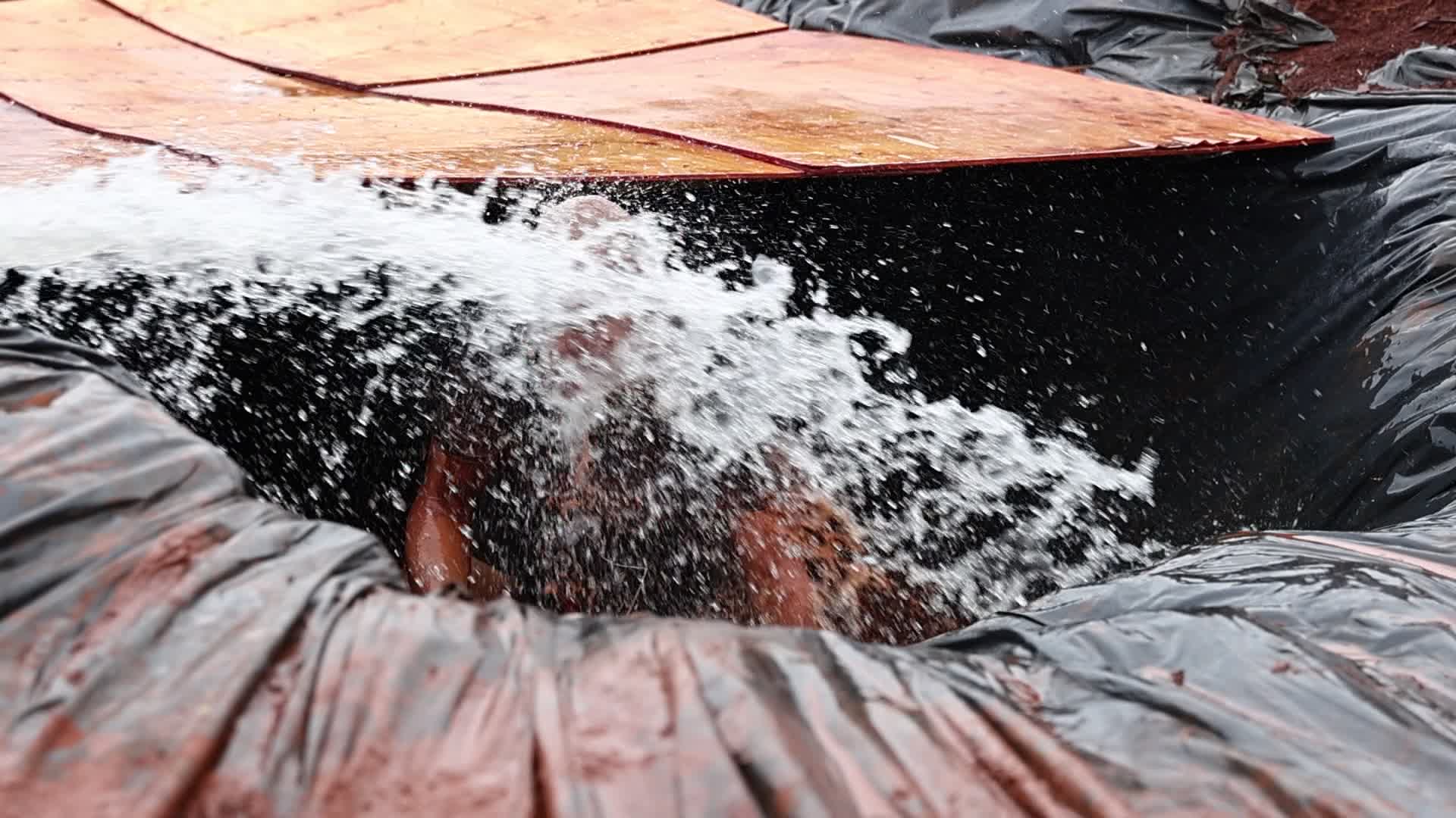 Vídeo #17770