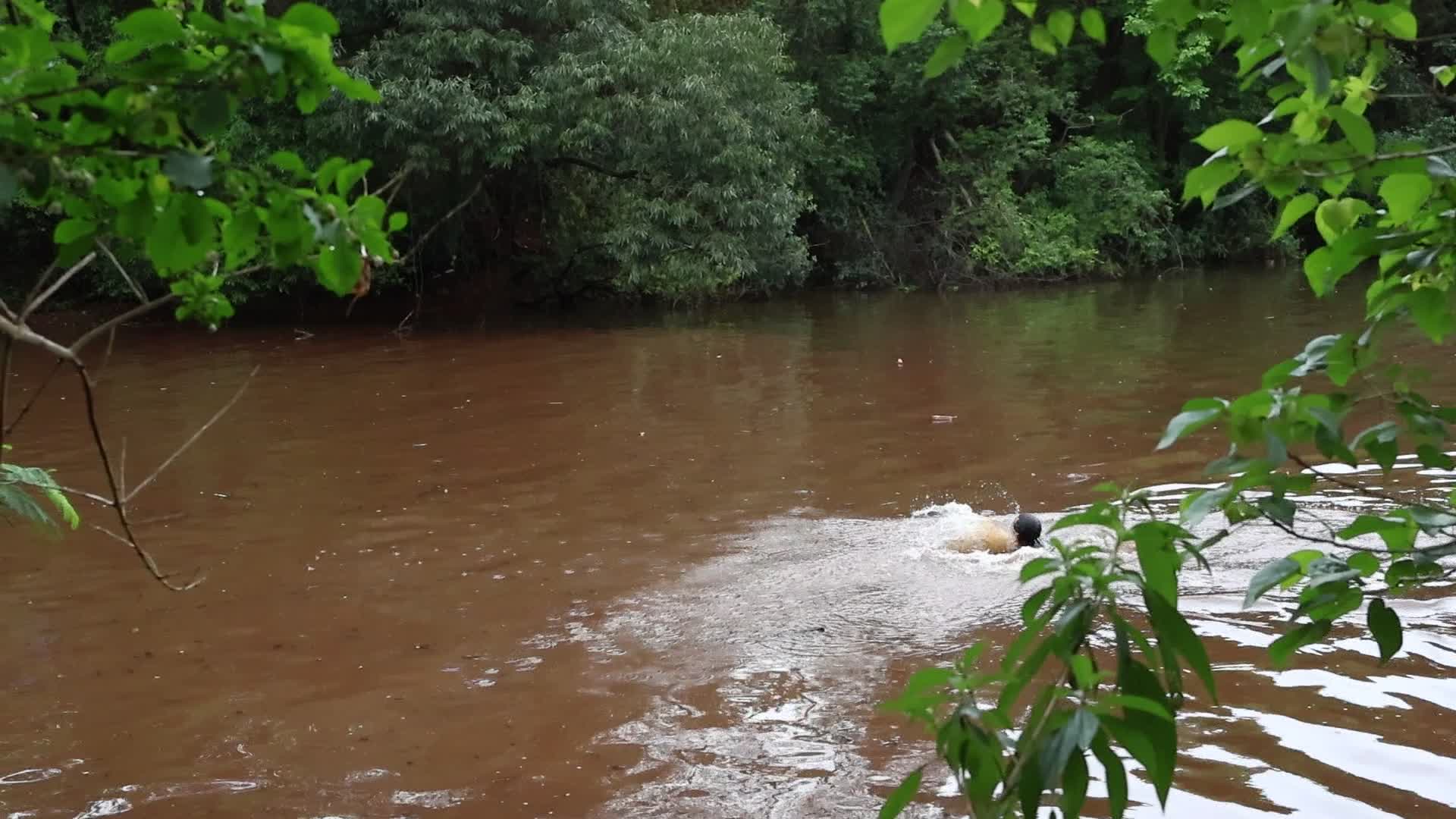 Vídeo #17709