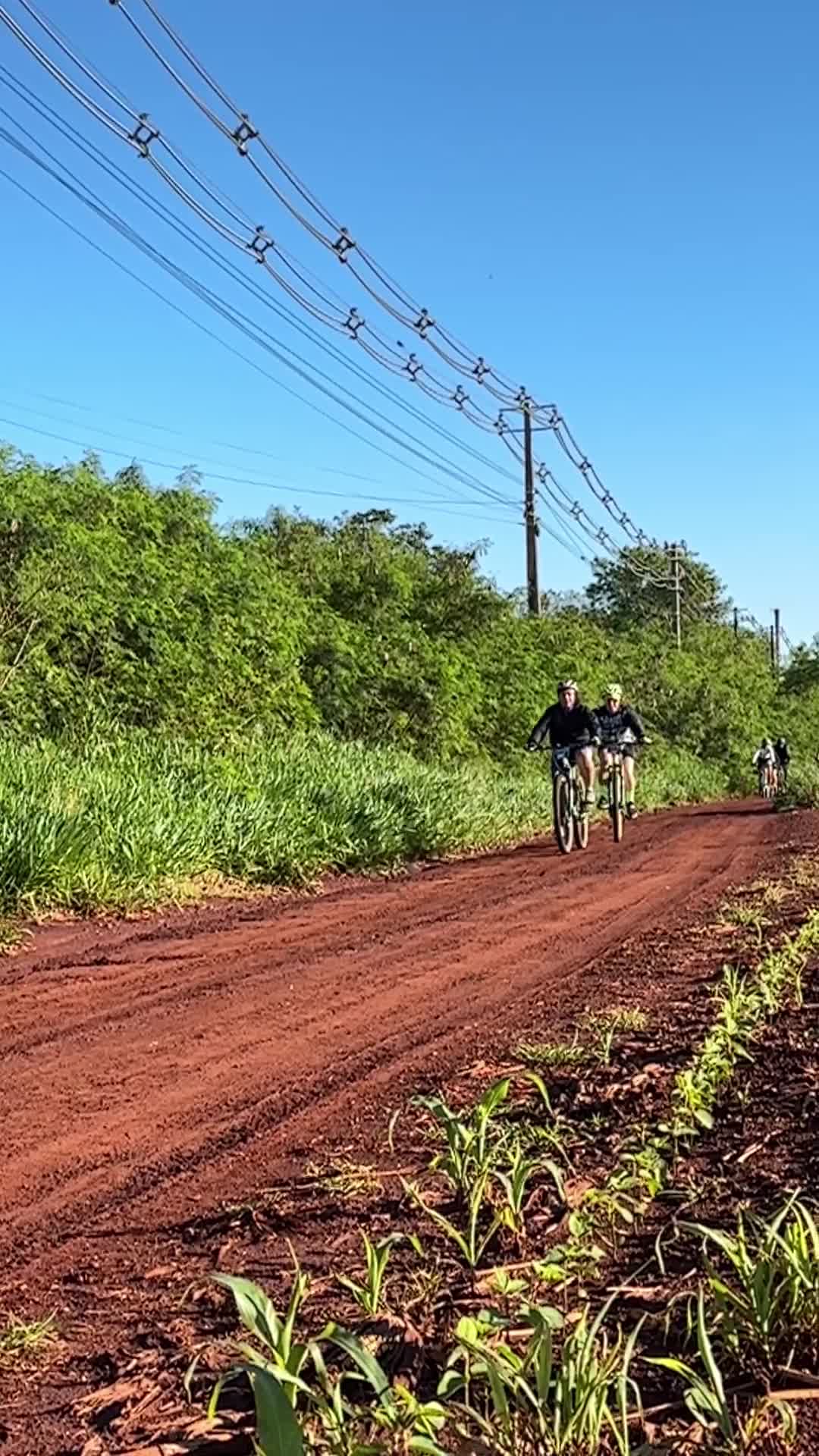Vídeo #20895
